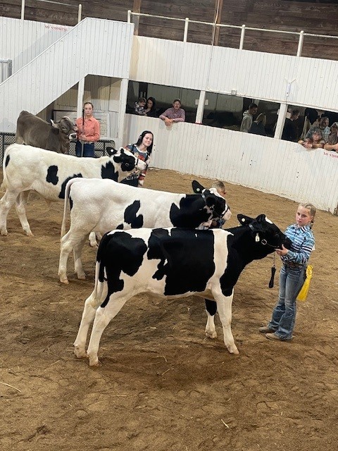 Jr Fair Dairy_2022-2