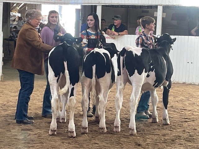 Jr Fair Dairy_2022